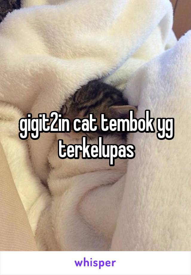 gigit2in cat tembok yg terkelupas