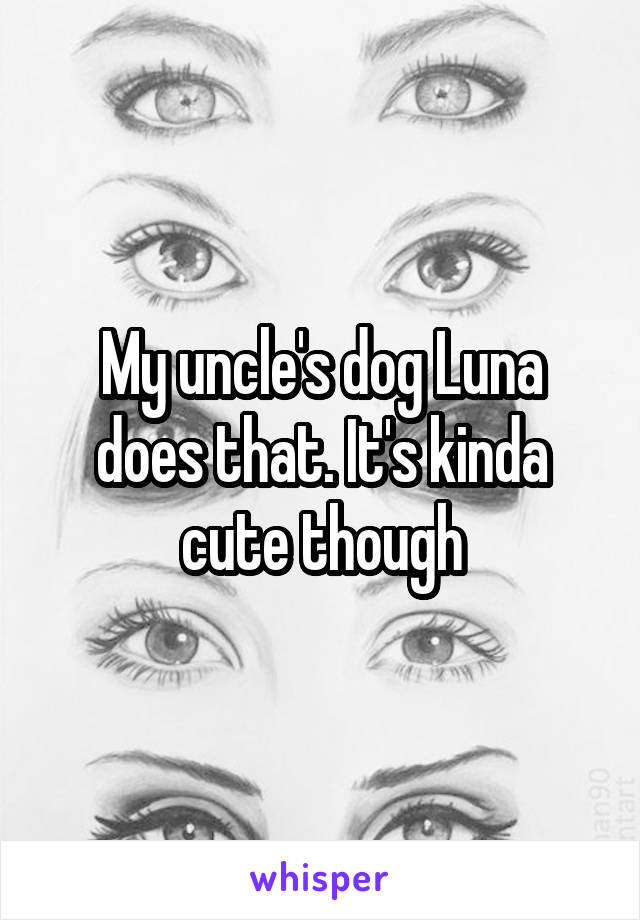 My uncle's dog Luna does that. It's kinda cute though