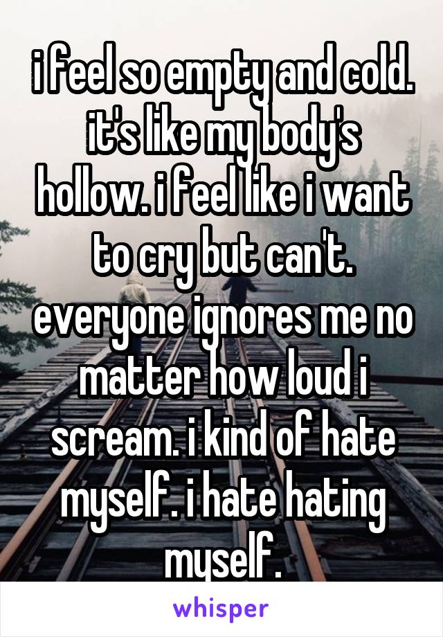 i feel so empty and cold. it's like my body's hollow. i feel like i want to cry but can't. everyone ignores me no matter how loud i scream. i kind of hate myself. i hate hating myself.