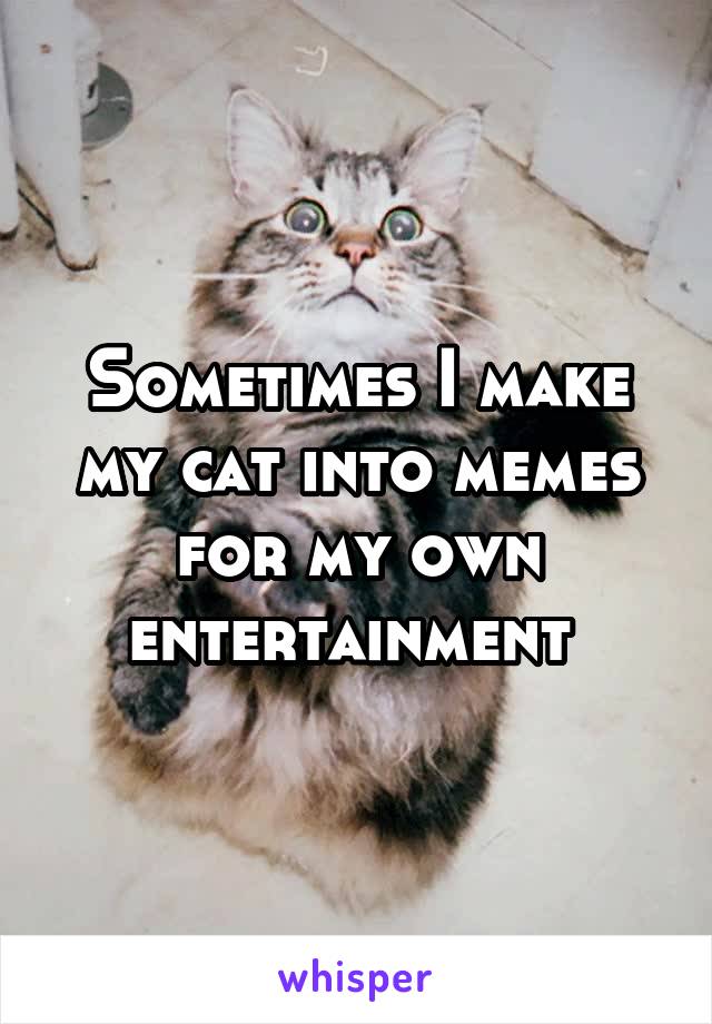 Sometimes I make my cat into memes for my own entertainment 