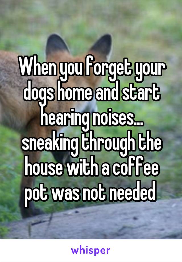 When you forget your dogs home and start hearing noises... sneaking through the house with a coffee pot was not needed 