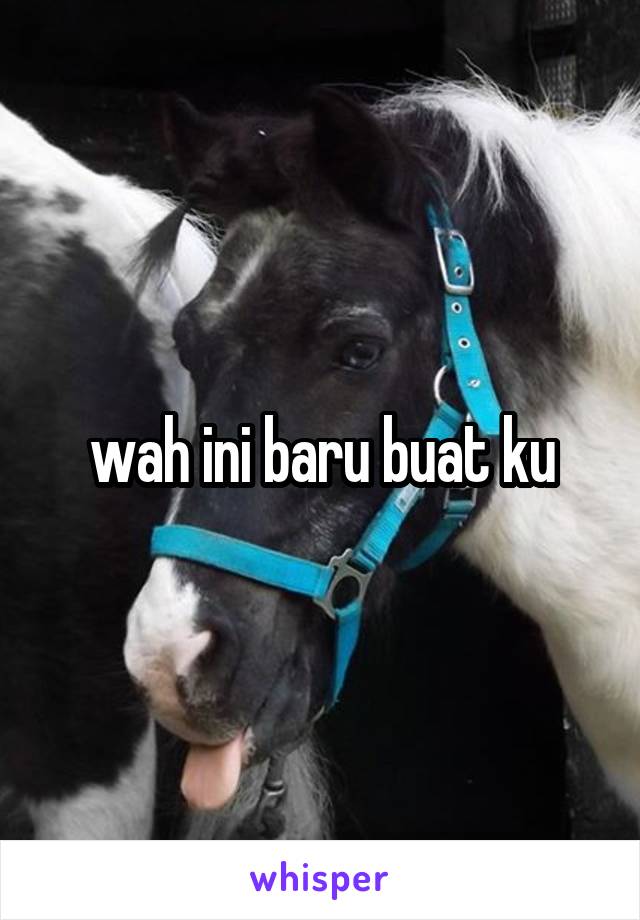 wah ini baru buat ku