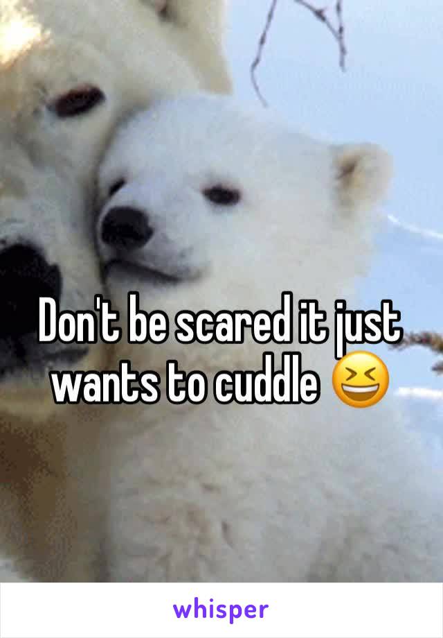 Don't be scared it just wants to cuddle 😆