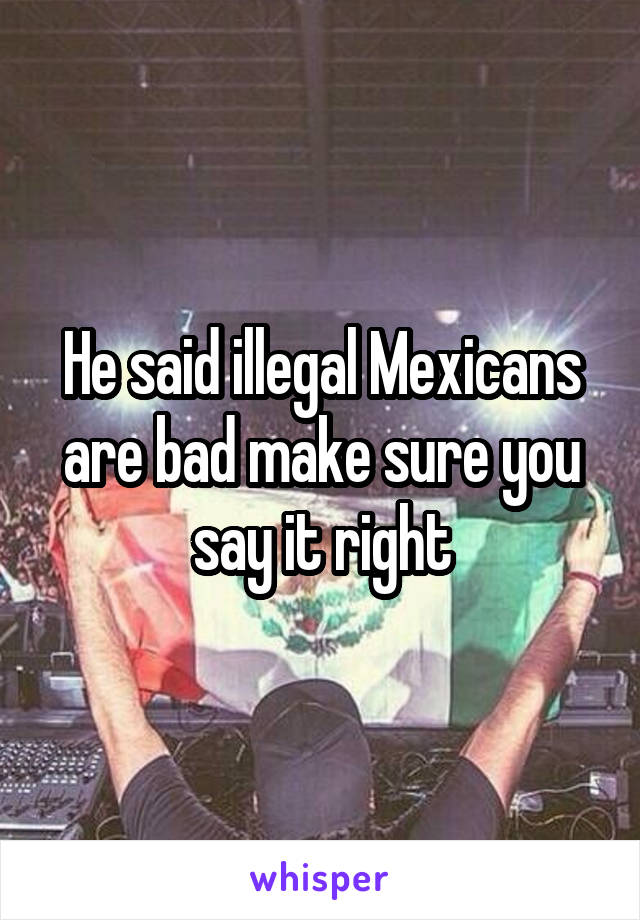 He said illegal Mexicans are bad make sure you say it right