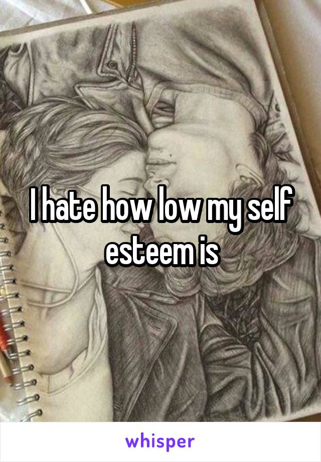 I hate how low my self esteem is