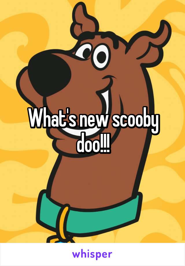 What's new scooby doo!!!