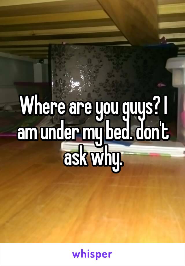Where are you guys? I am under my bed. don't ask why.