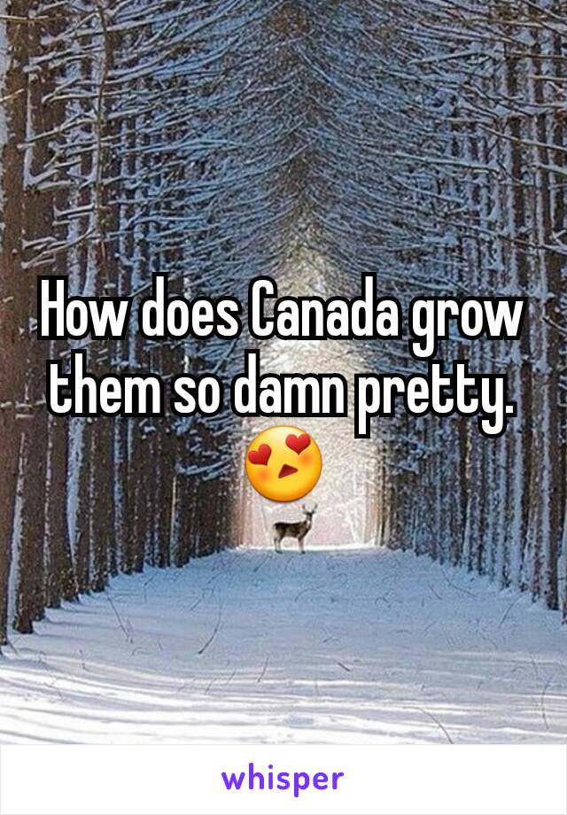 How does Canada grow them so damn pretty. 😍