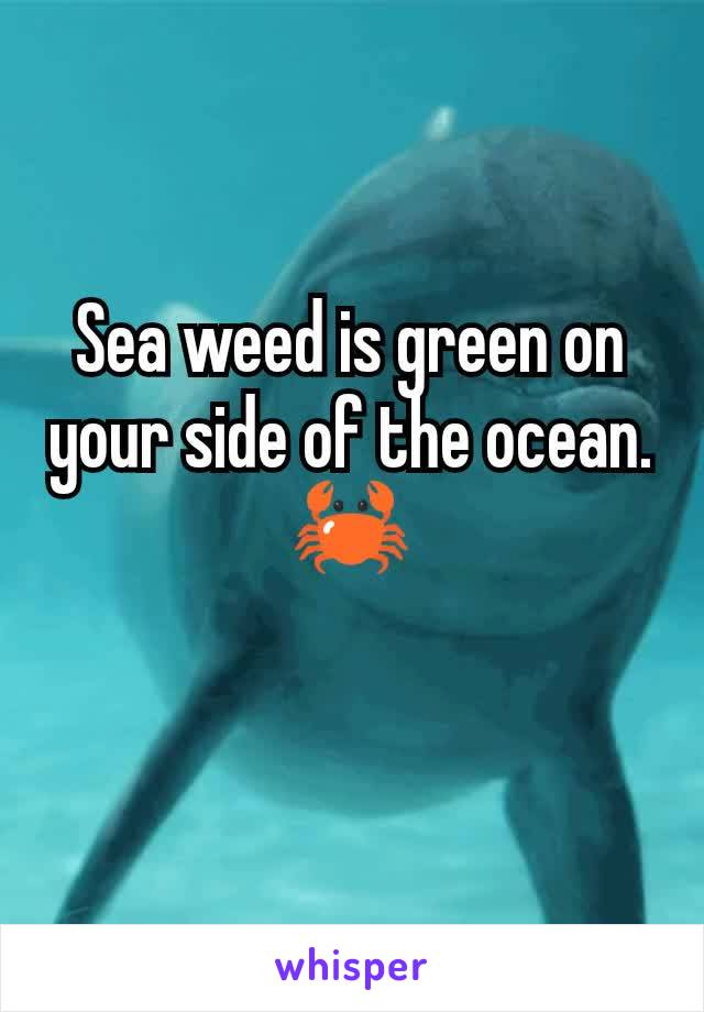 Sea weed is green on your side of the ocean. 🦀