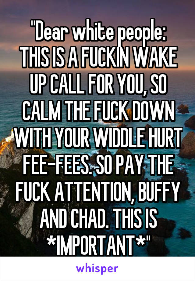 "Dear white people:
THIS IS A FUCKIN WAKE UP CALL FOR YOU, SO CALM THE FUCK DOWN WITH YOUR WIDDLE HURT FEE-FEES. SO PAY THE FUCK ATTENTION, BUFFY AND CHAD. THIS IS *IMPORTANT*"