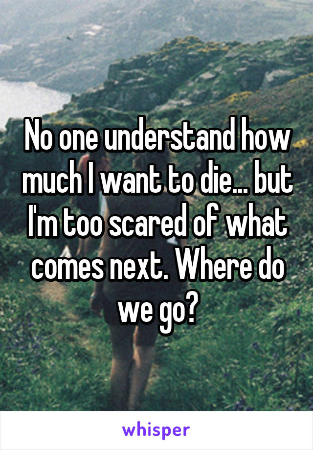 No one understand how much I want to die... but I'm too scared of what comes next. Where do we go?