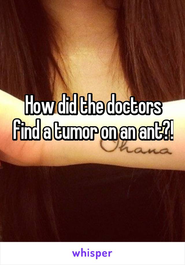 How did the doctors find a tumor on an ant?!
