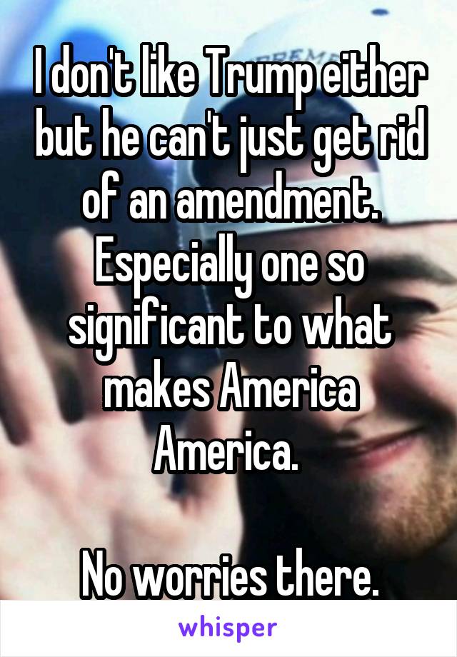 I don't like Trump either but he can't just get rid of an amendment. Especially one so significant to what makes America America. 

No worries there.