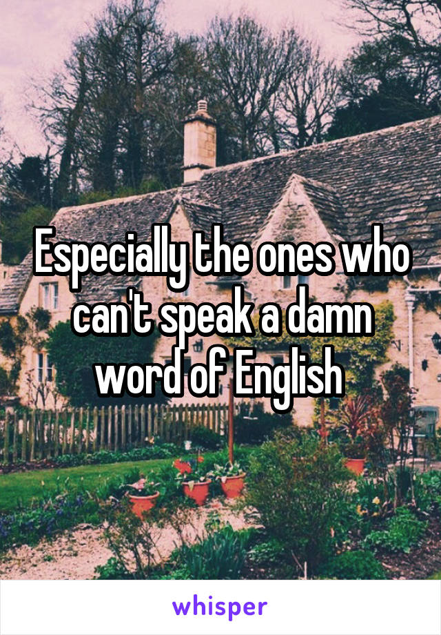 Especially the ones who can't speak a damn word of English 