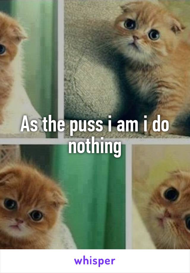 As the puss i am i do nothing