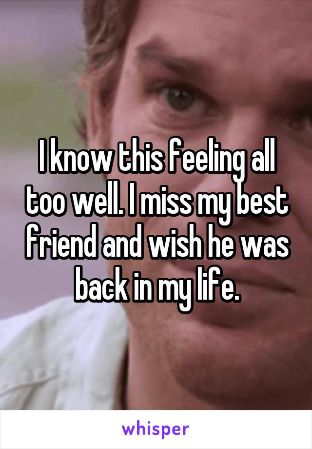 I know this feeling all too well. I miss my best friend and wish he was back in my life.