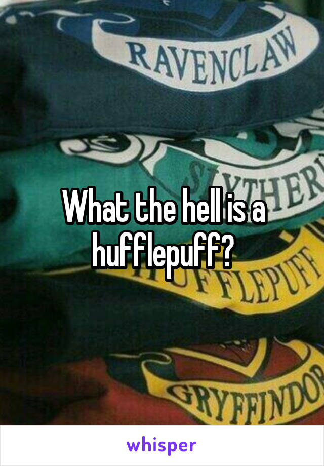 What the hell is a hufflepuff?