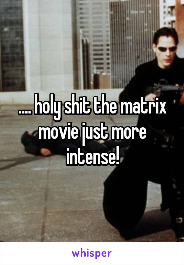 .... holy shit the matrix movie just more intense!