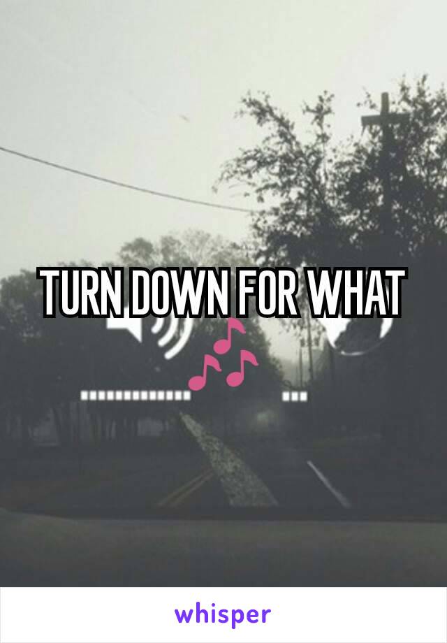 TURN DOWN FOR WHAT 🎶