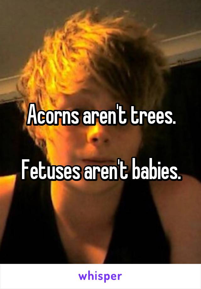 Acorns aren't trees.

Fetuses aren't babies.