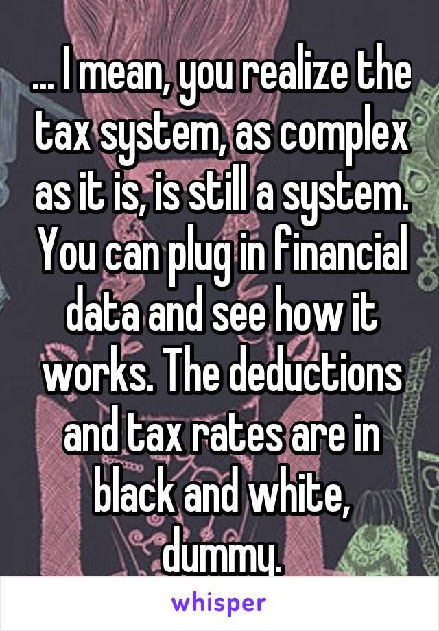 ... I mean, you realize the tax system, as complex as it is, is still a system. You can plug in financial data and see how it works. The deductions and tax rates are in black and white, dummy.