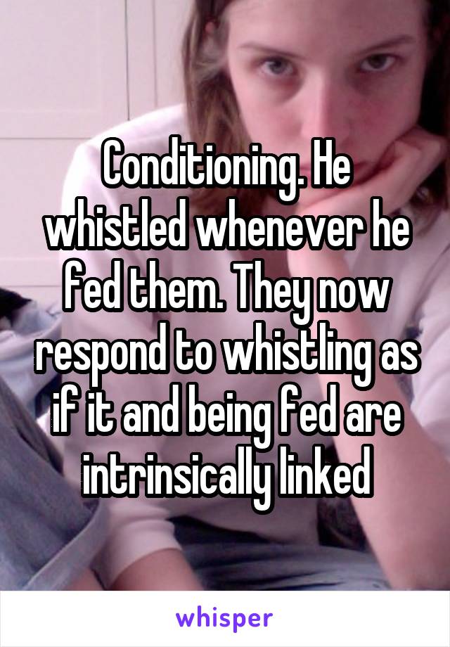 Conditioning. He whistled whenever he fed them. They now respond to whistling as if it and being fed are intrinsically linked