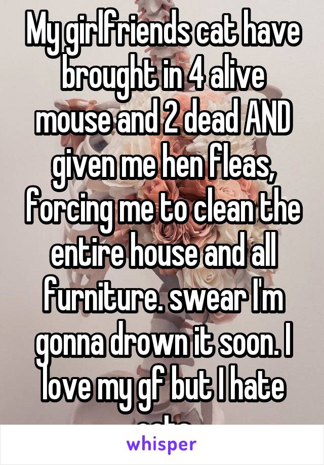 My girlfriends cat have brought in 4 alive mouse and 2 dead AND given me hen fleas, forcing me to clean the entire house and all furniture. swear I'm gonna drown it soon. I love my gf but I hate cats
