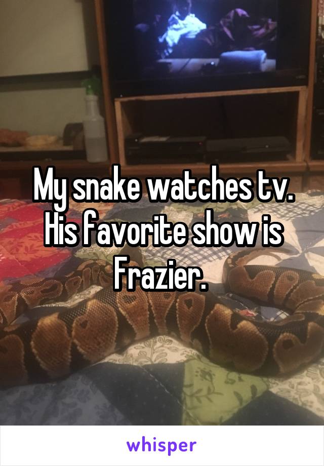 My snake watches tv. His favorite show is Frazier. 