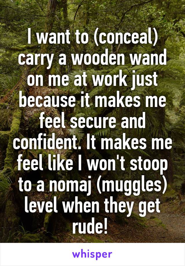 I want to (conceal) carry a wooden wand on me at work just because it makes me feel secure and confident. It makes me feel like I won't stoop to a nomaj (muggles) level when they get rude! 