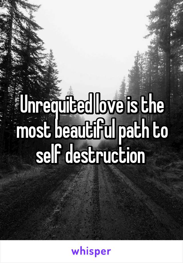 Unrequited love is the most beautiful path to self destruction 