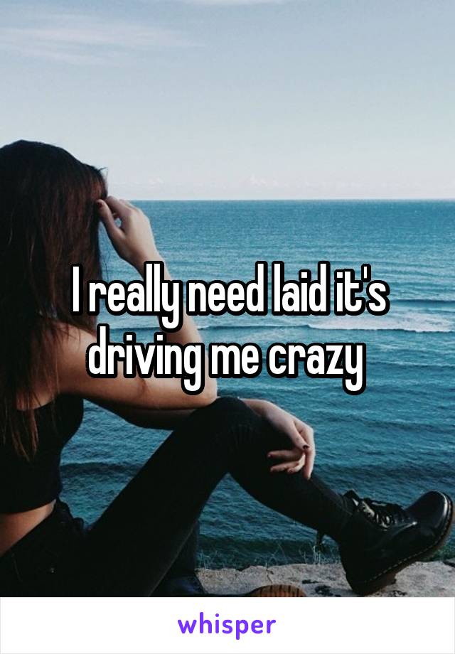 I really need laid it's driving me crazy 