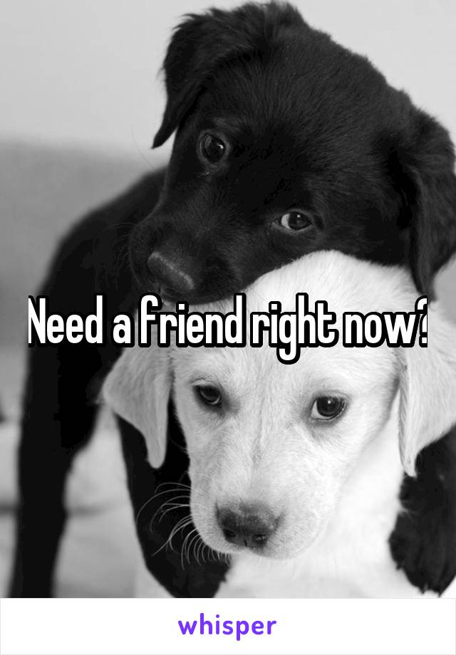 Need a friend right now?