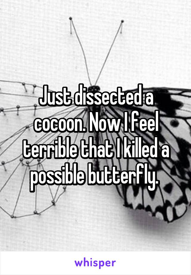 Just dissected a cocoon. Now I feel terrible that I killed a possible butterfly. 