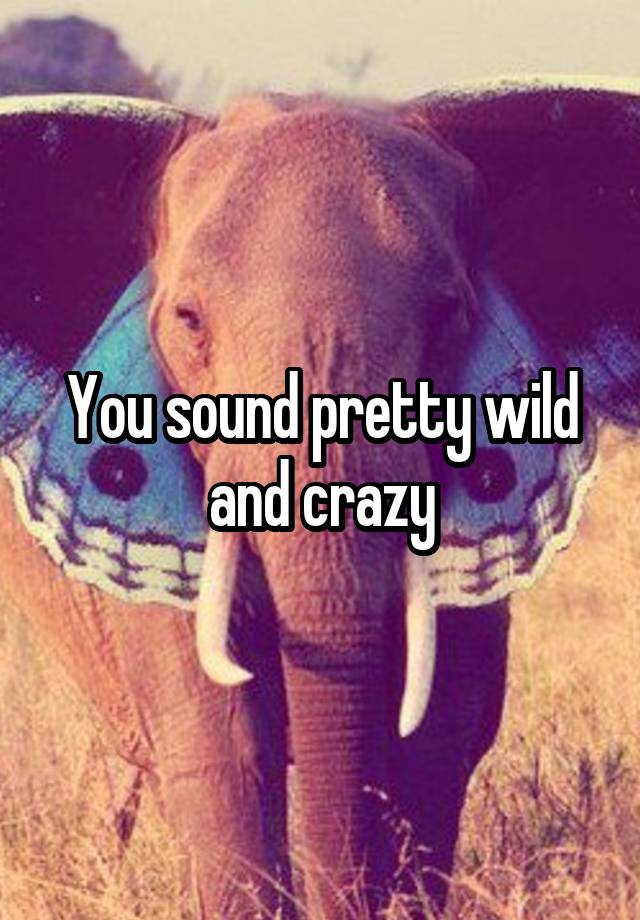 you-sound-pretty-wild-and-crazy