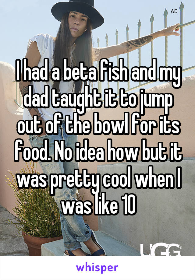 I had a beta fish and my dad taught it to jump out of the bowl for its food. No idea how but it was pretty cool when I was like 10