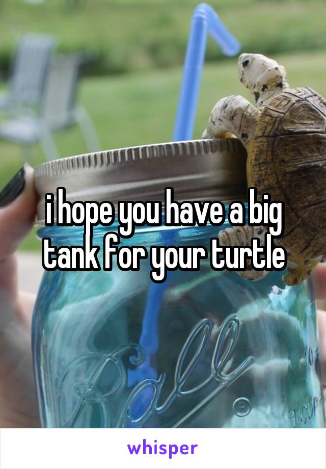 i hope you have a big tank for your turtle