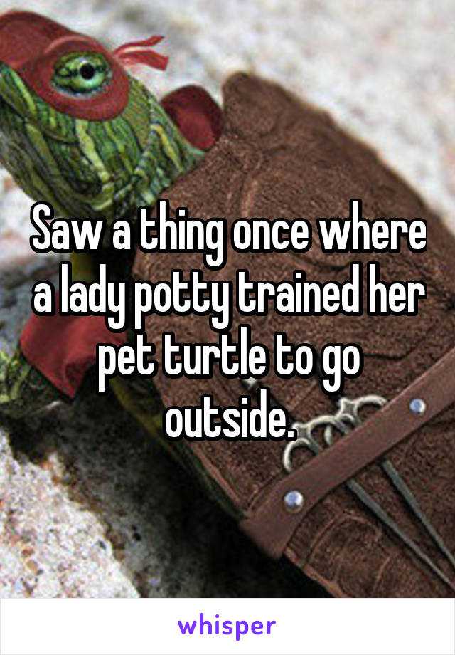 Saw a thing once where a lady potty trained her pet turtle to go outside.