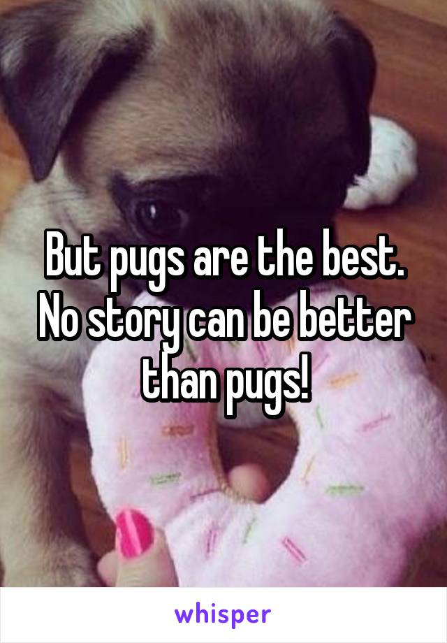 But pugs are the best. No story can be better than pugs!