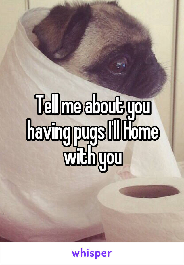 Tell me about you having pugs I'll Home with you