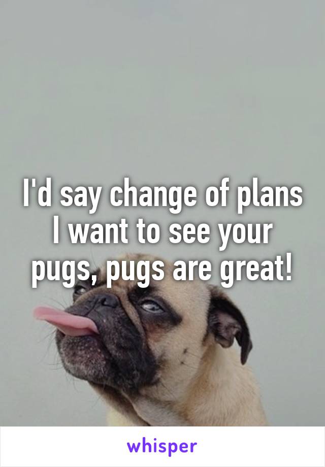 I'd say change of plans I want to see your pugs, pugs are great!