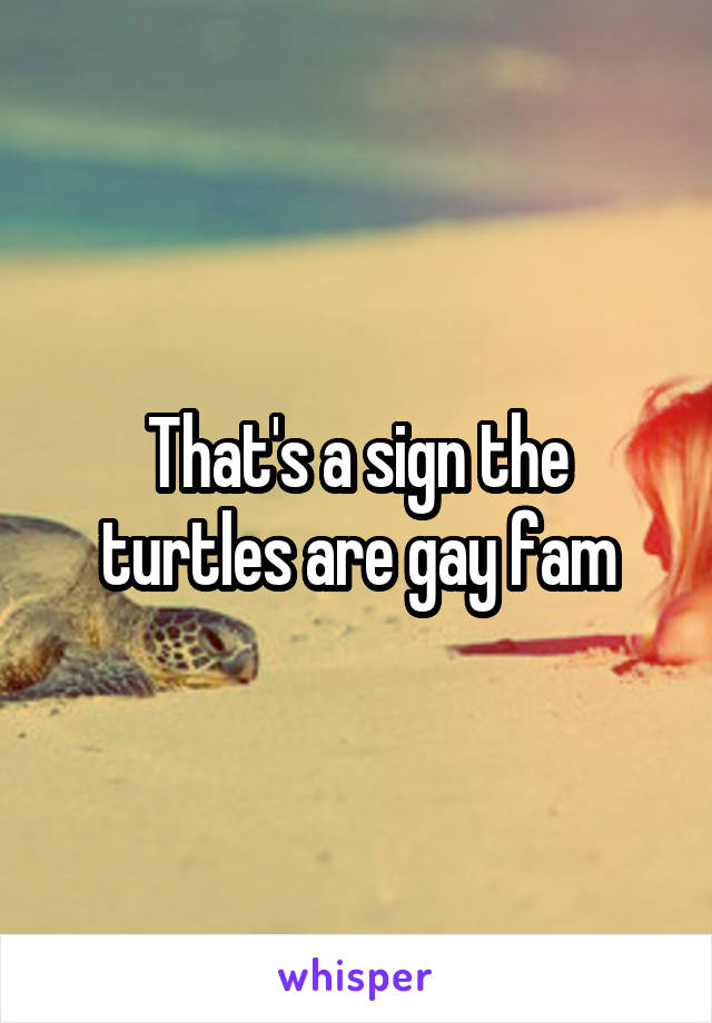 That's a sign the turtles are gay fam