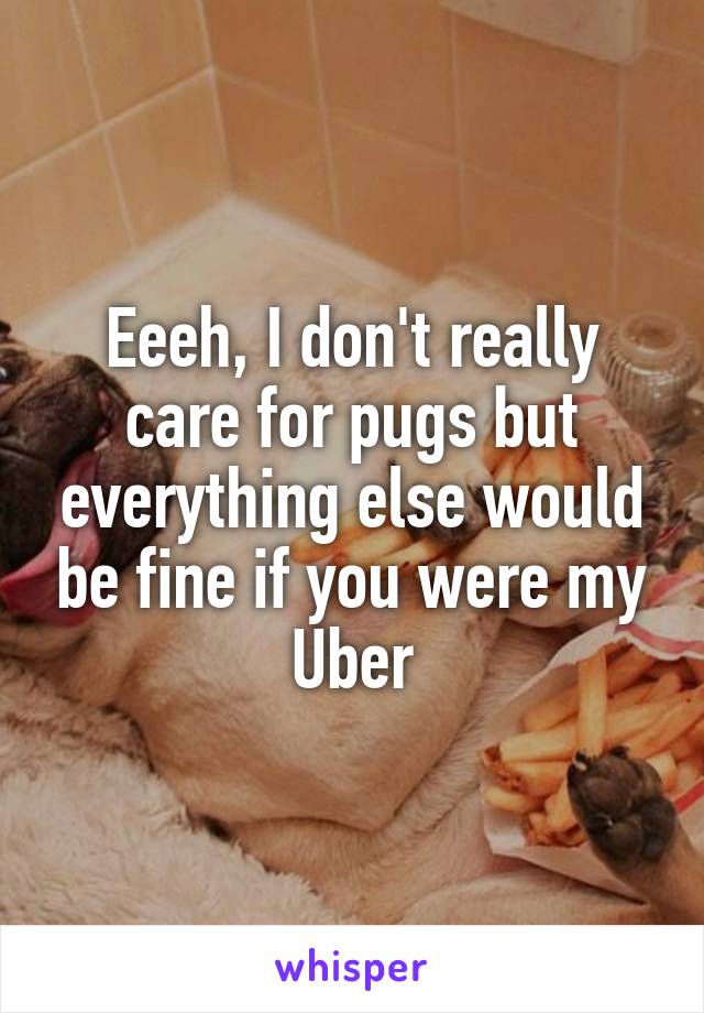 Eeeh, I don't really care for pugs but everything else would be fine if you were my Uber