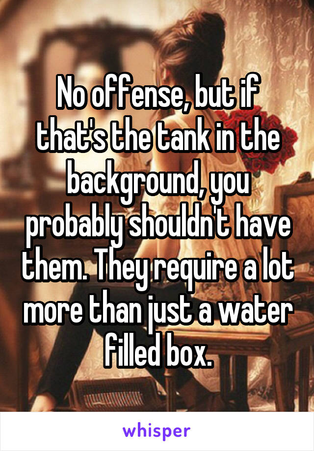 No offense, but if that's the tank in the background, you probably shouldn't have them. They require a lot more than just a water filled box.