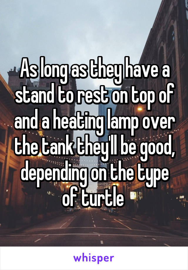 As long as they have a stand to rest on top of and a heating lamp over the tank they'll be good, depending on the type of turtle 