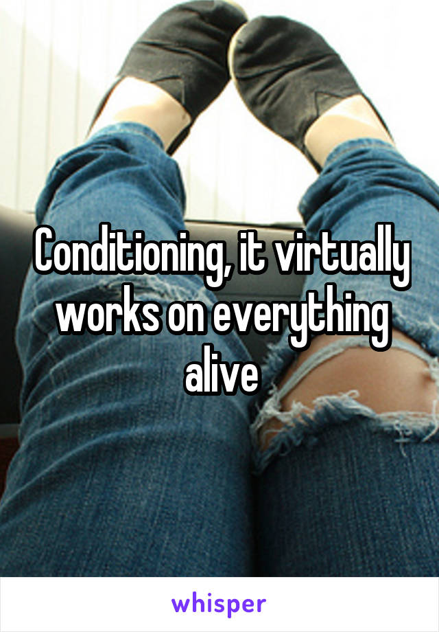 Conditioning, it virtually works on everything alive