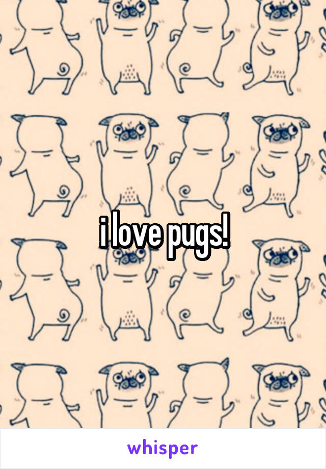 i love pugs!