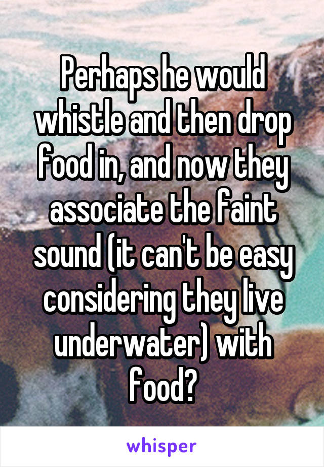 Perhaps he would whistle and then drop food in, and now they associate the faint sound (it can't be easy considering they live underwater) with food?