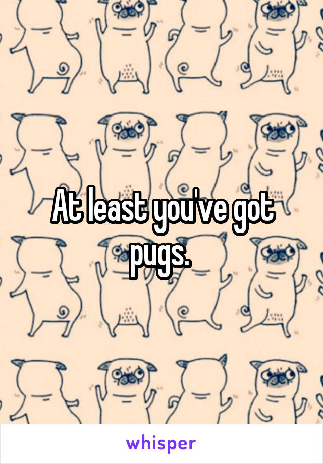 At least you've got pugs. 