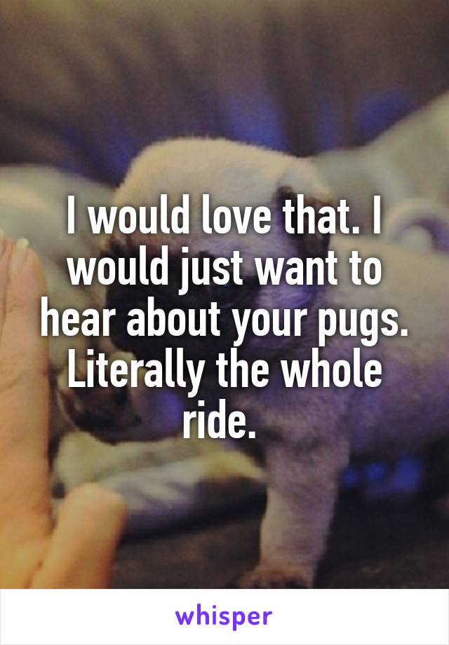 I would love that. I would just want to hear about your pugs. Literally the whole ride. 