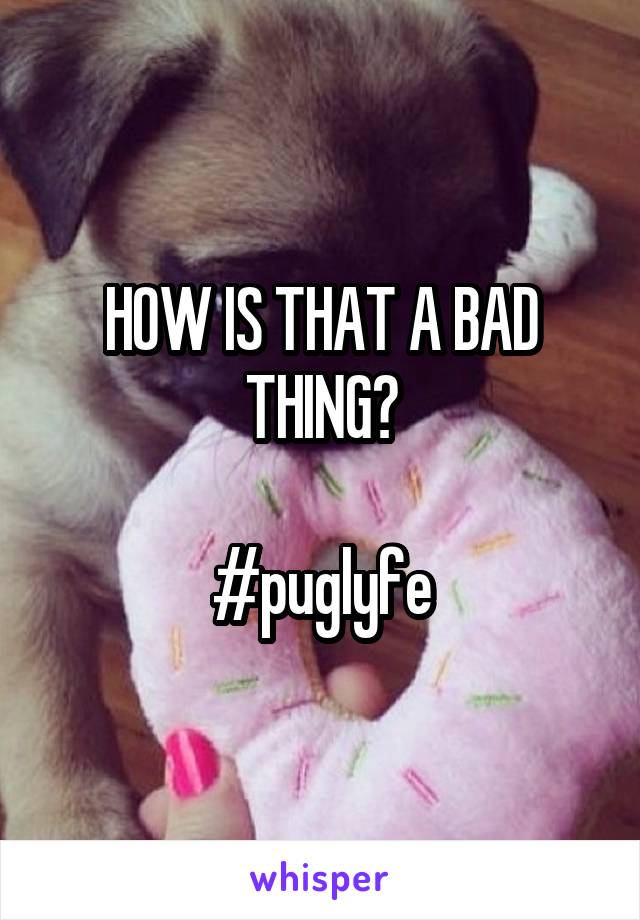 HOW IS THAT A BAD THING?

#puglyfe